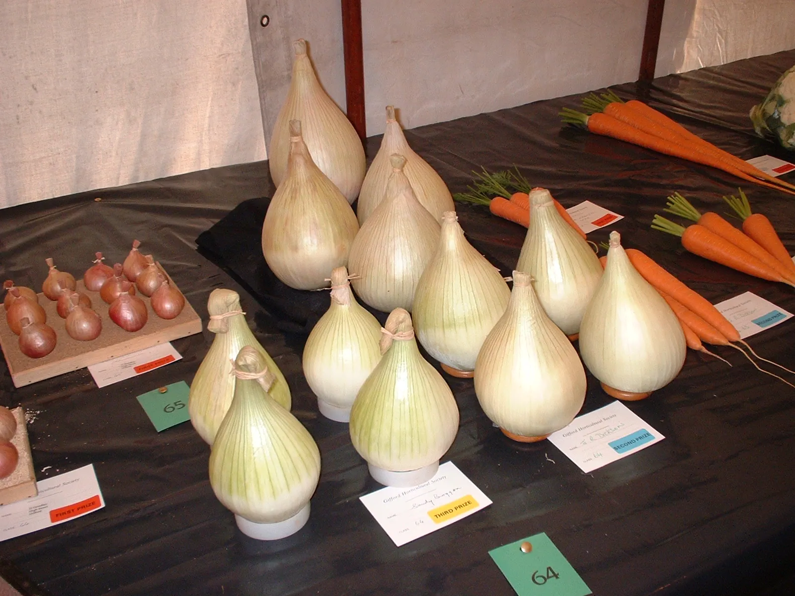 Gifford flower show 02